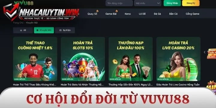 Cách Vivu88 giúp bet thủ về bờ an toàn