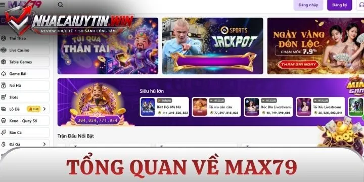 Tổng quan về Max79
